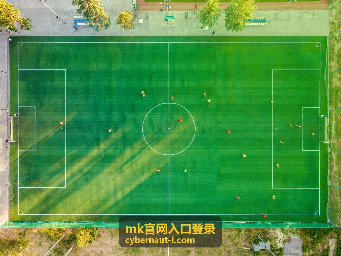 mk官网入口登录 设备授权与会话管理列表说明